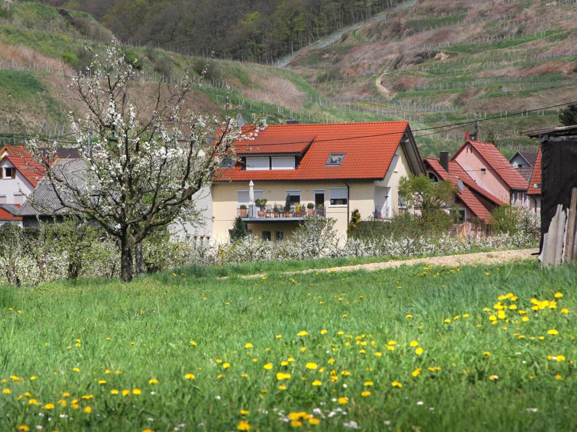 Ferienwohnung Graf Vogtsburg Exterior foto